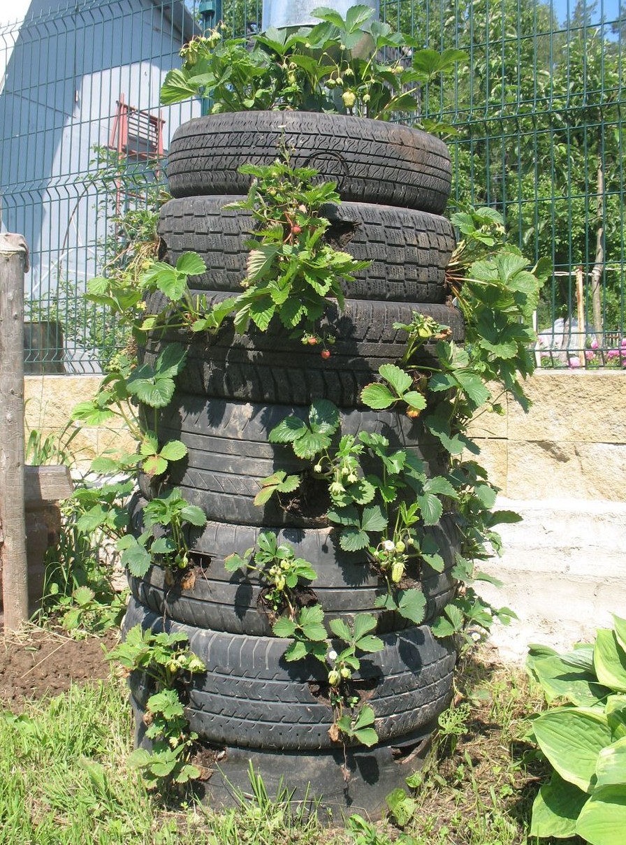 Каскадная грядка для клубники фото